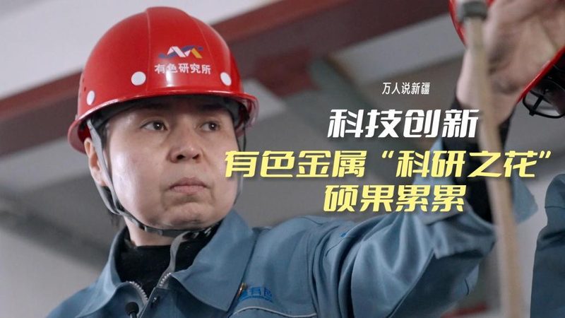 大数据分析在金融风控中的应用解析**